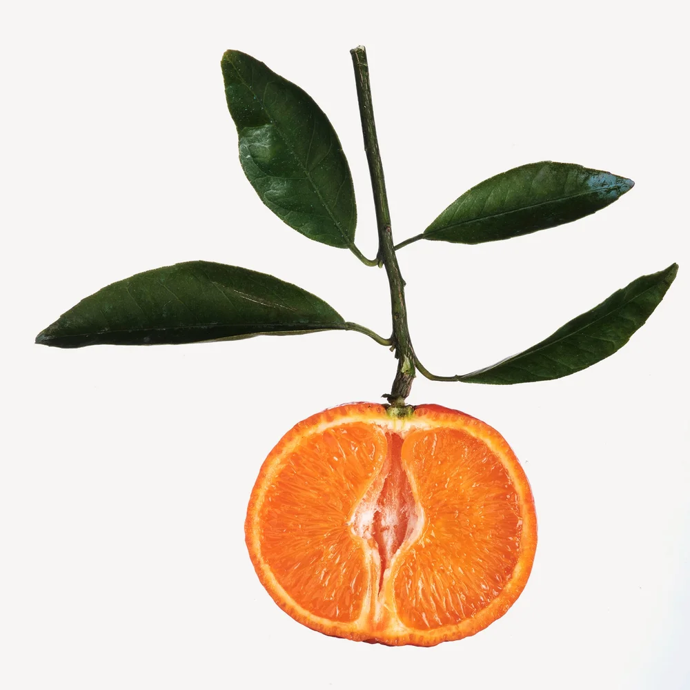 Mandarin (quýt)